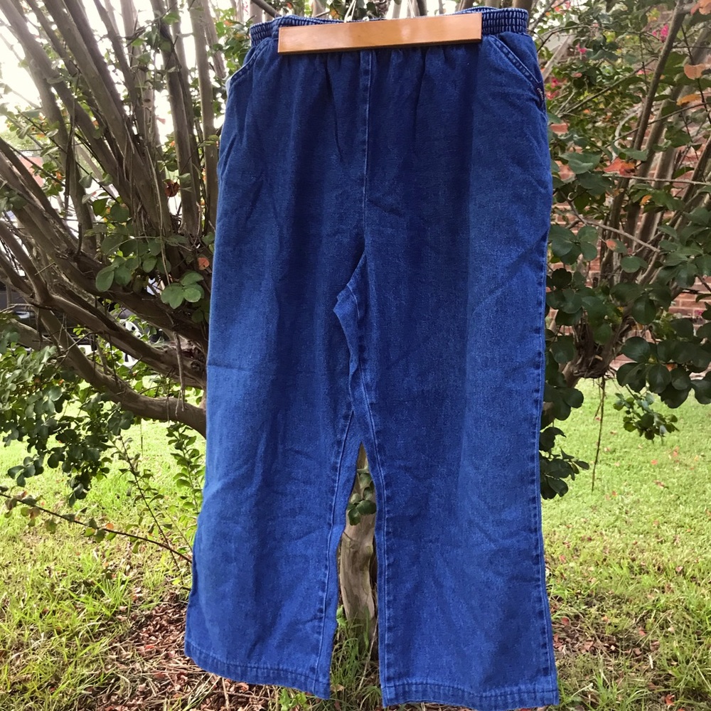 Stretchy Waist Vintage Plus Size Jeans 20W Petite